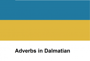 Adverbs in Dalmatian