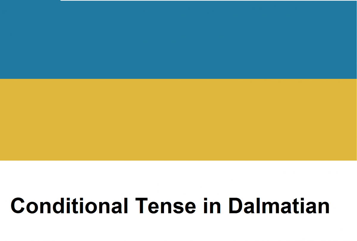 dalmatian-grammar-conditional-mood