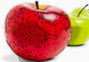 Fruits.jpeg