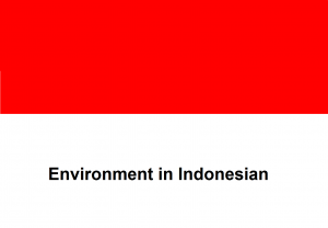 Environment in Indonesian