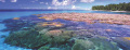 Thumbnail for version as of 23:11, 21 December 2021