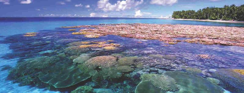 File:Marshall-Islands-Timeline-PolyglotClub2.jpg