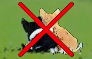 38749f3e o.jpeg