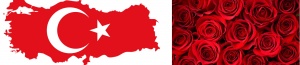 Turkish-flowers.jpg