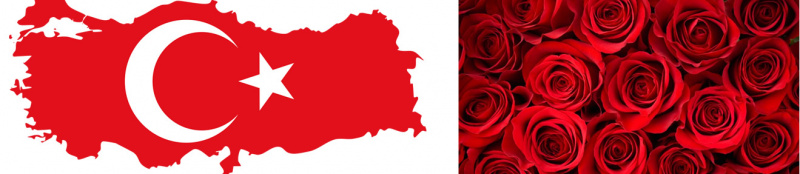 File:Turkish-flowers.jpg