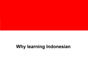 Why learning Indonesian