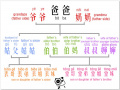 9dd1419921c22aeec02f8d42b9ab53ca--chinese-pinyin-chinese-words.jpg