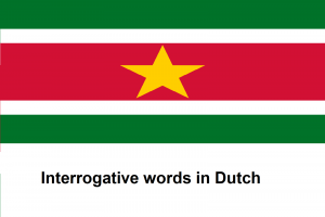 Interrogative words in Dutch