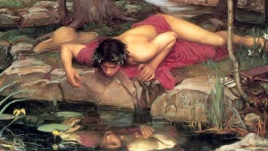 Narcissus b.jpg