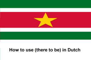 How to use (there to be) in Dutch