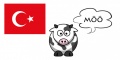 Animal-sounds-turkish.jpg