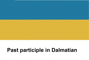 Past participle in Dalmatian