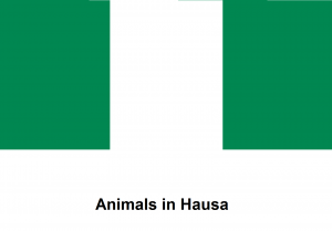 Animals in Hausa