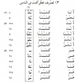 Arabic-Language-perfect-to-write-PolyglotClub.jpg