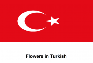 Flowers in Turkish