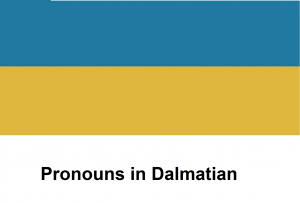 Pronouns in Dalmatian