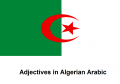Adjectives in Algerian Arabic.png