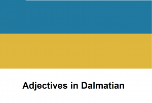 Adjectives in Dalmatian
