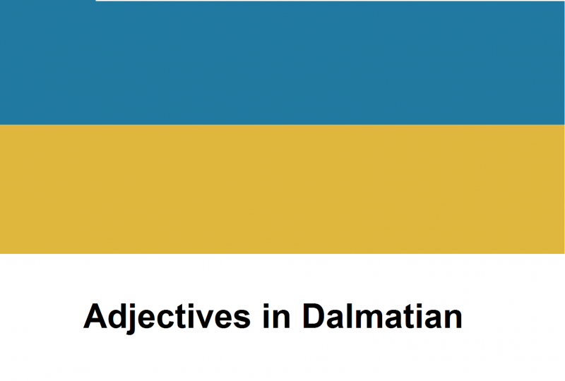 File:Adjectives in Dalmatian.png