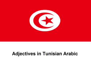 Adjectives in Tunisian Arabic