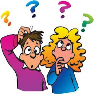 NYPT-quiz.jpg-400-x-400.jpg