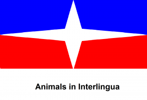 Animals in Interlingua