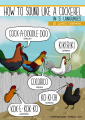 Animal-sounds-in-different-languages-james-chapman-8.jpg