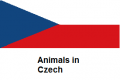 Animals in Czech.png
