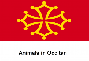 Animals in Occitan.png