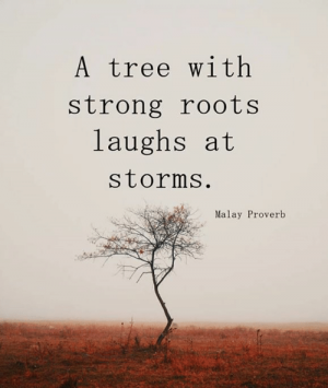 A-tree-with-strong-roots-laughs-at-storms-malay-proverb-11186329.png