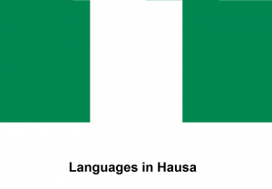 Languages in Hausa