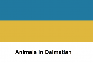 Animals in Dalmatian