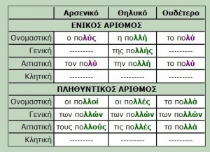 Poli.jpg