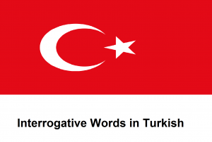 Interrogative Words in Turkish.png