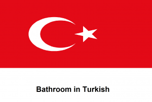 Bathroom in Turkish