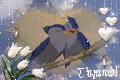 Thumbnail for version as of 07:47, 11 November 2020