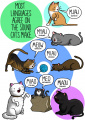 Animal-sounds-in-different-languages-james-chapman-1-1.jpg