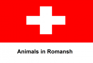 Animals in Romansh