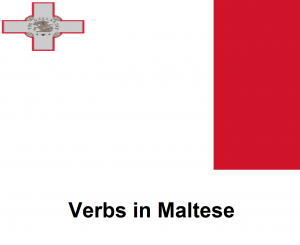 Verbs in Maltese