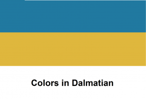 Colors in Dalmatian