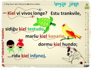 6330e0fe5de9a8d10cb6b0dd7abda7be--esperanto-language-kiel.jpg