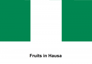 Fruits in Hausa