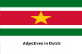 Adjectives in Dutch .png
