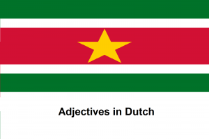 Adjectives in Dutch