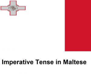 Imperative Tense in Maltese