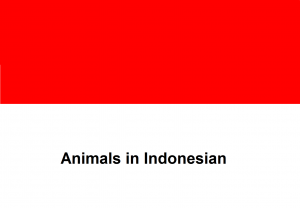 Animals in Indonesian.png