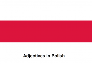 Adjectives in Polish