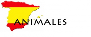 Animales.jpg