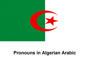 Pronouns in Algerian Arabic