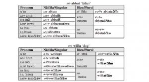 Amharic-Language-Possessive-Form2-PolyglotClub.jpg